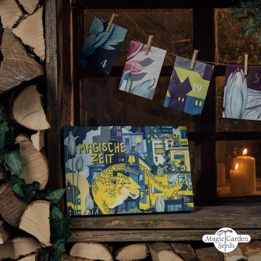 Calendrier de l'avent graines bio bonheur jardin urbain