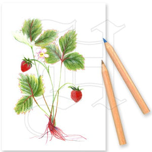 Dans le jardin - le set de peinture compact au format de poche