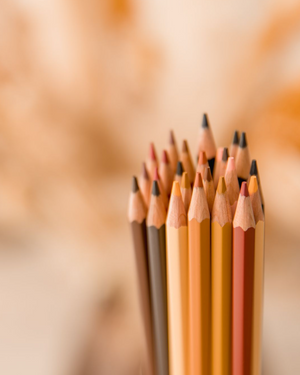 12 skin color pencils | so colorful is our world
