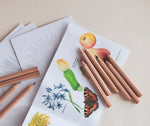 Dans le jardin - le set de peinture compact au format de poche