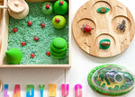 Life Cycle Figures: Ladybug